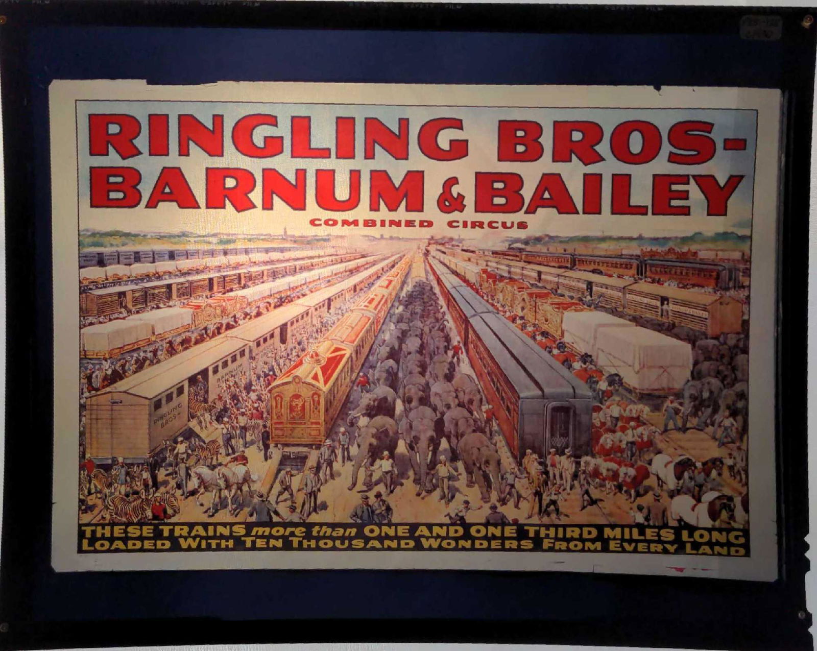 Ringling Brothers Barnum Circus Poster Transparency (1 of 3)