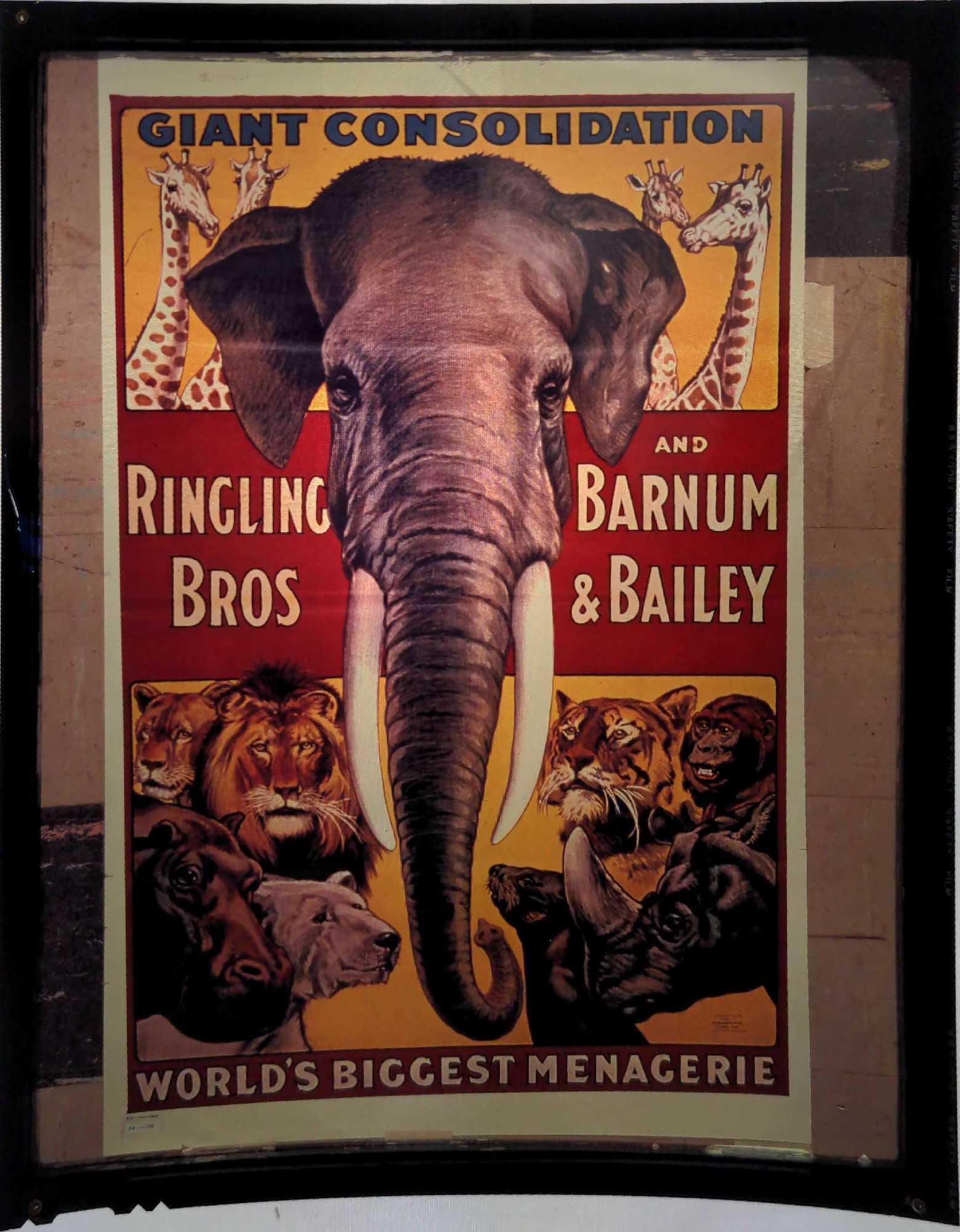 Ringling Brothers Barnum Circus Poster Transparency (1 of 3)