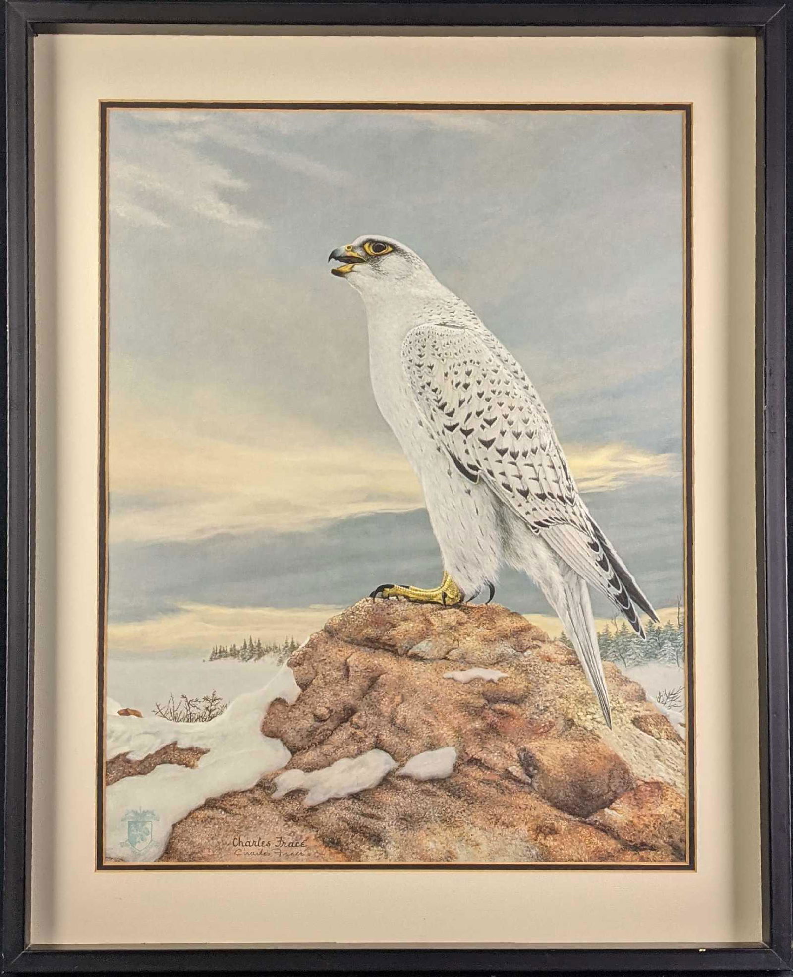 Framed Signed Charles Frace Falcon On Tree Print (1 of 8)