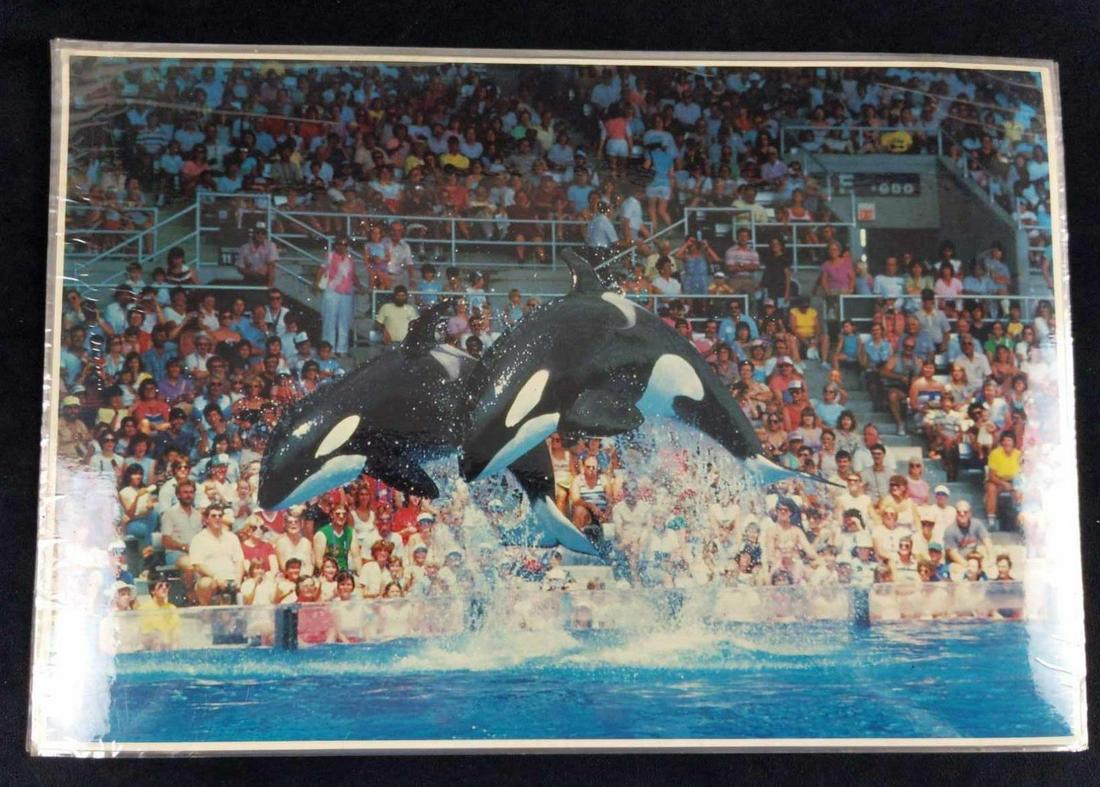 Two Sea World Placemats Vicki Jones Art Sharks (1 of 6)