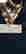item-101731358=10
