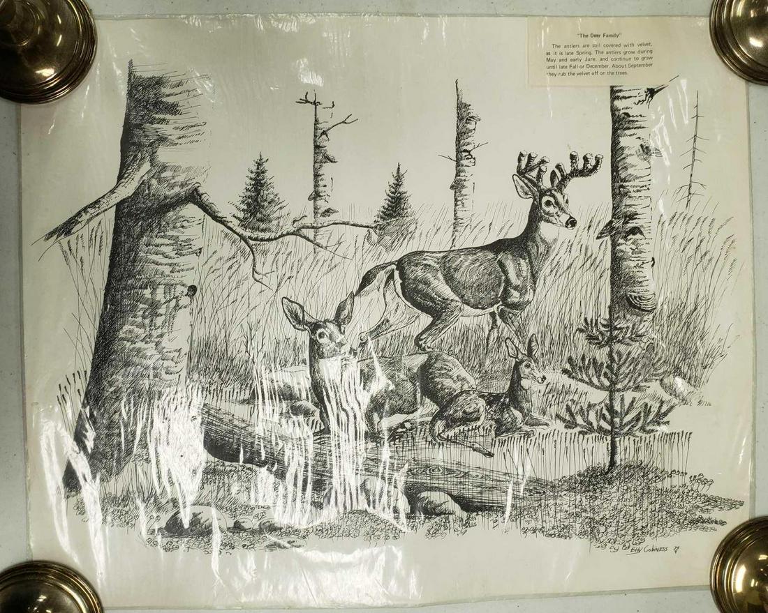 Eddy Cobiness The Deer Family Print (1 of 8)