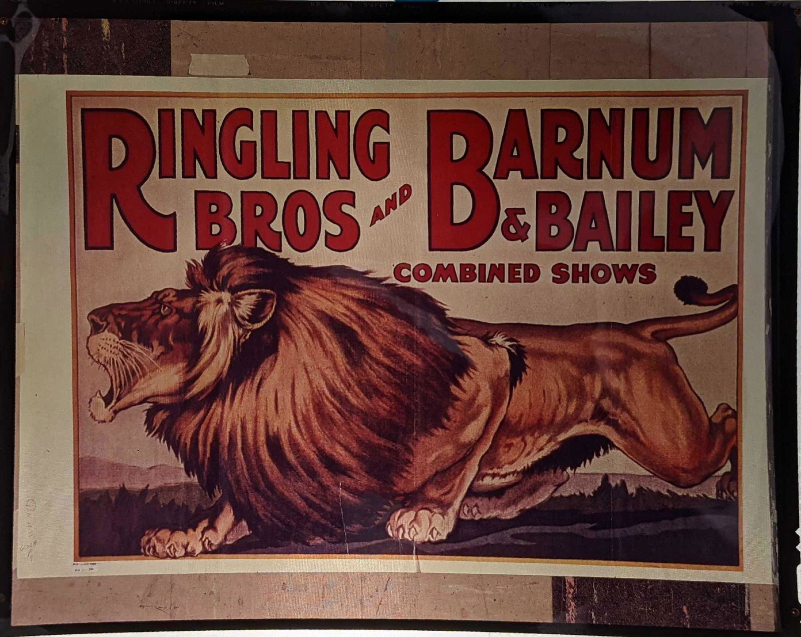 Ringling Brothers Barnum Circus Poster Transparency (1 of 3)