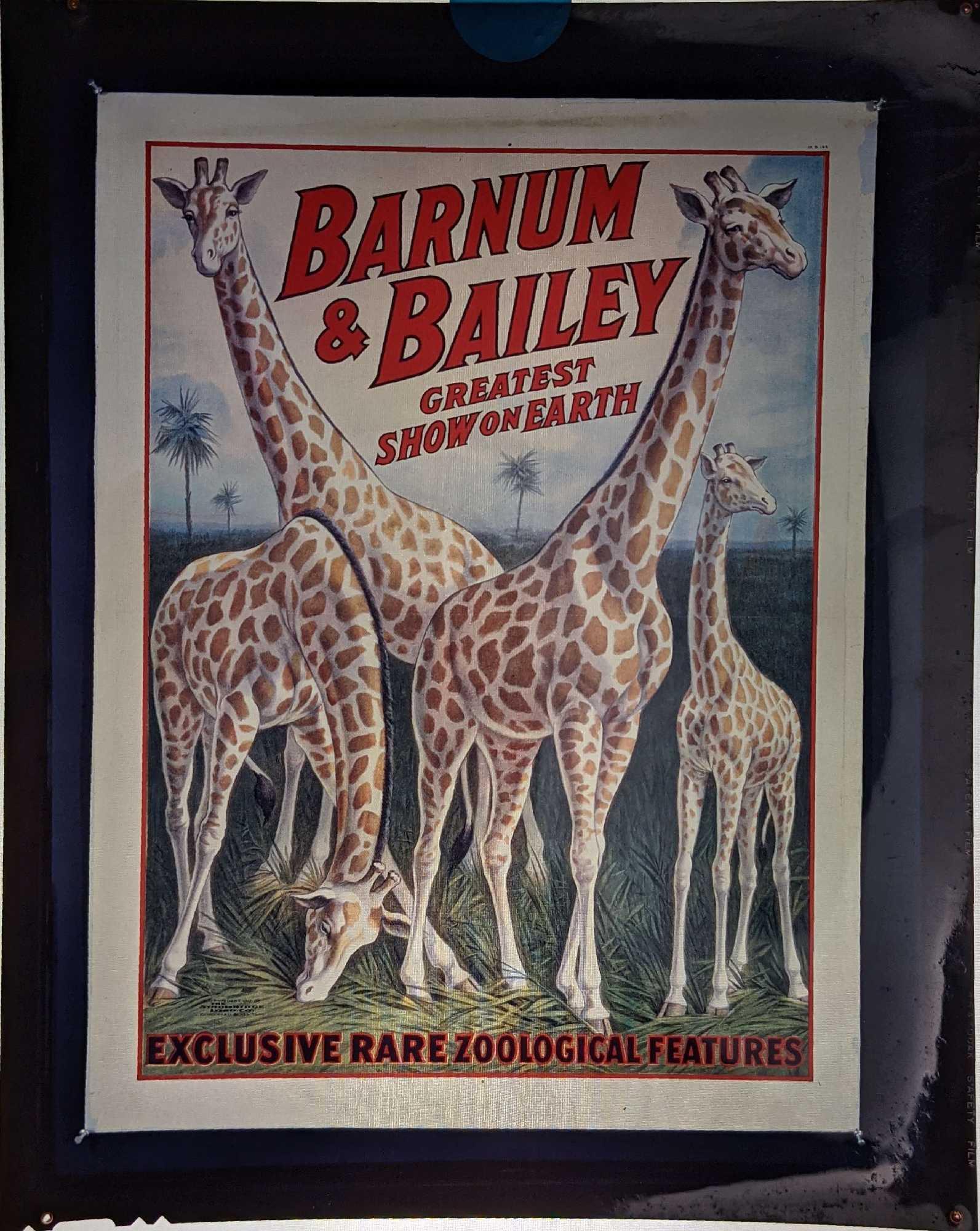 Ringling Brothers Barnum Circus Poster Transparency (1 of 3)