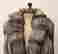 item-107061129=2