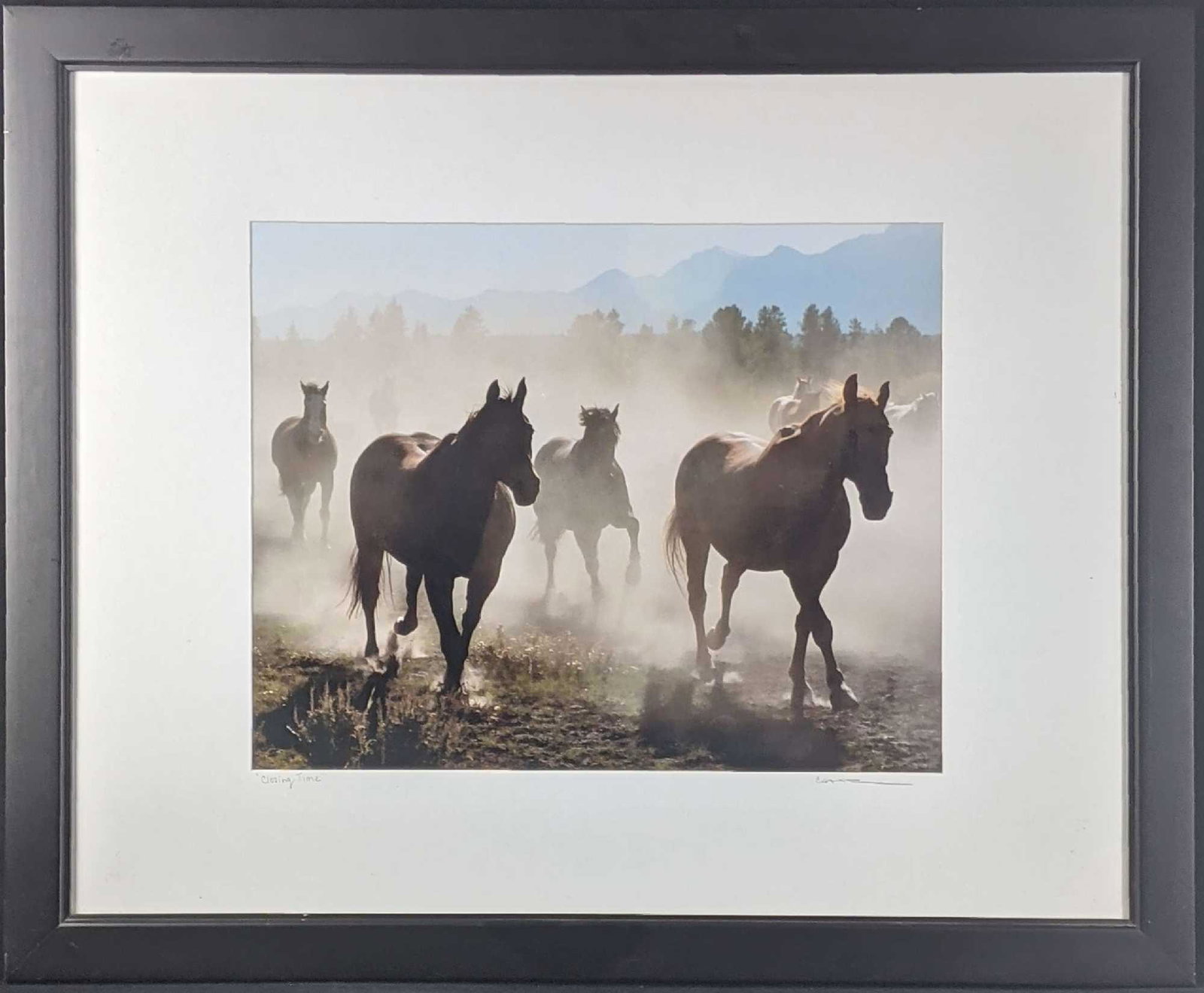 Horse's Running Mountains Photograph Framed (1 of 6)