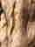 item-108002119=5