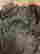 item-108002153=7