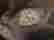 item-108002157=7