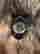 item-108002166=4