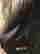 item-108002220=3