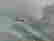 item-108409205=4