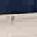 item-108477450=3