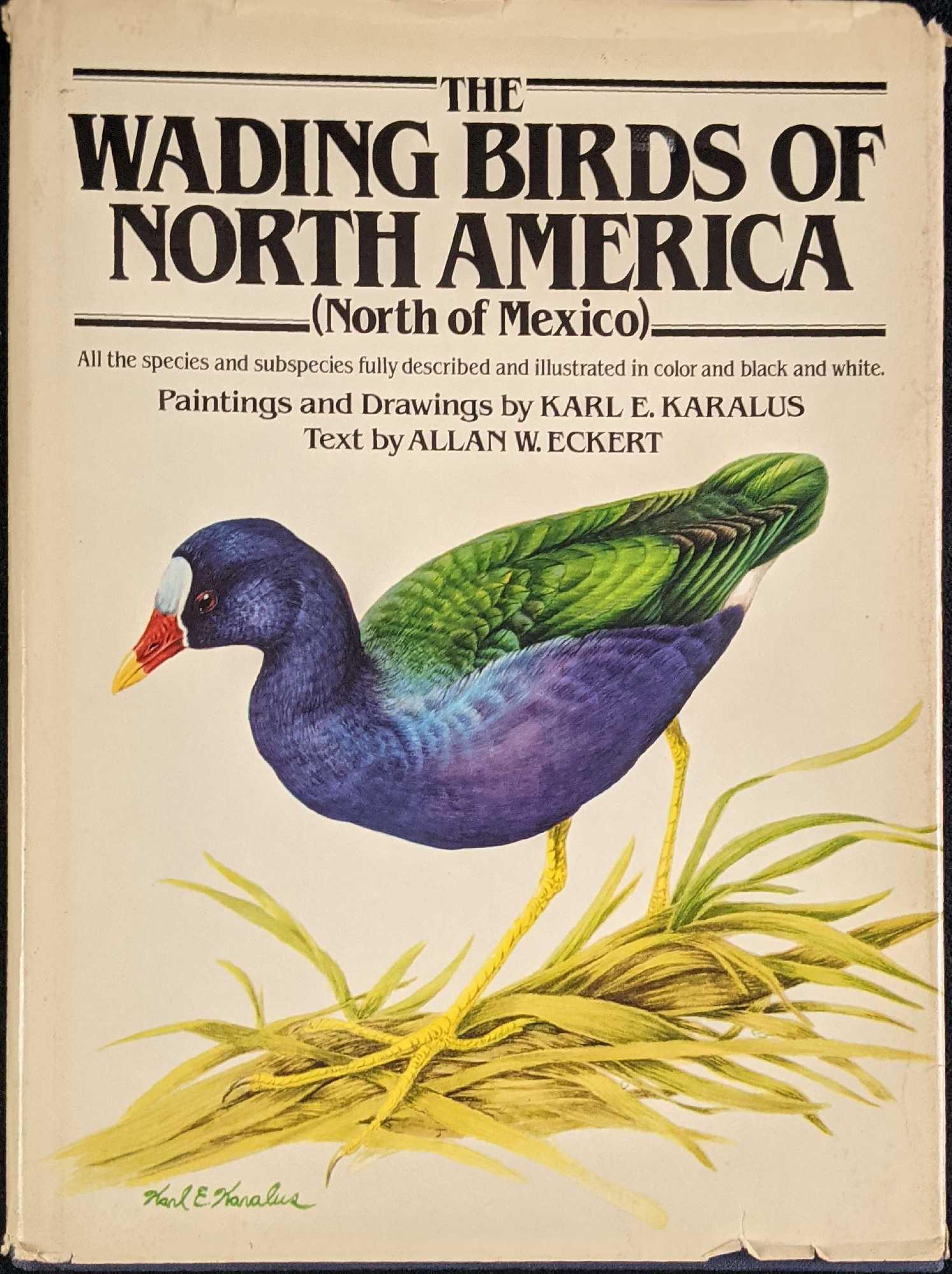 The Wading Birds Of North America Hardcover: The Wading Birds Of North America" by Allan W. Eckert. With art by Karl E. Karalus. This book was published by Doubleday And Company (New York) in 1981. The book is approx 9" x 1/4" x 11 1/2" and weig