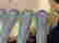 item-108693850=5