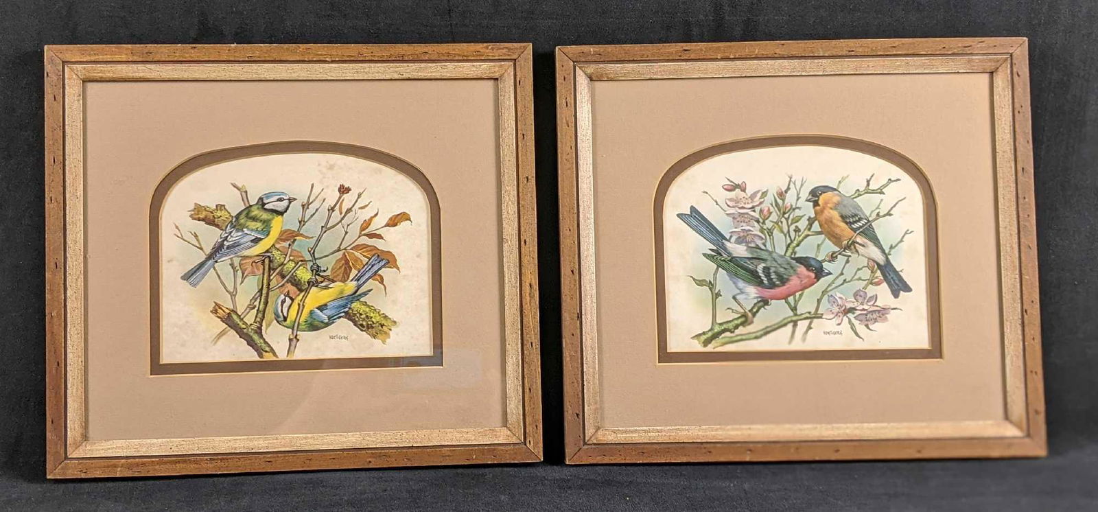 Framed Vintage Vortigern Bird Prints: Here are two vintage (1970s) prints of British birds by the British artist, Vortigern. Prints are framed with matching wood frames created by Marko Manufacturers for Rhodes, Inc. Frames are approx 14