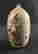 item-109535557=6