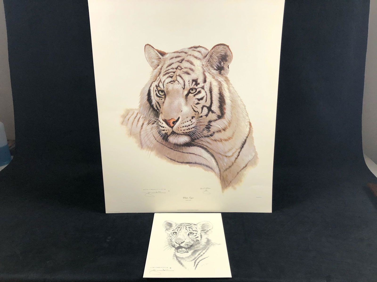 Vintage Wildlife Artist Jim Oliver "White Tiger " (1 of 13)