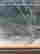 item-111977586=3