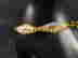 item-112178732=3