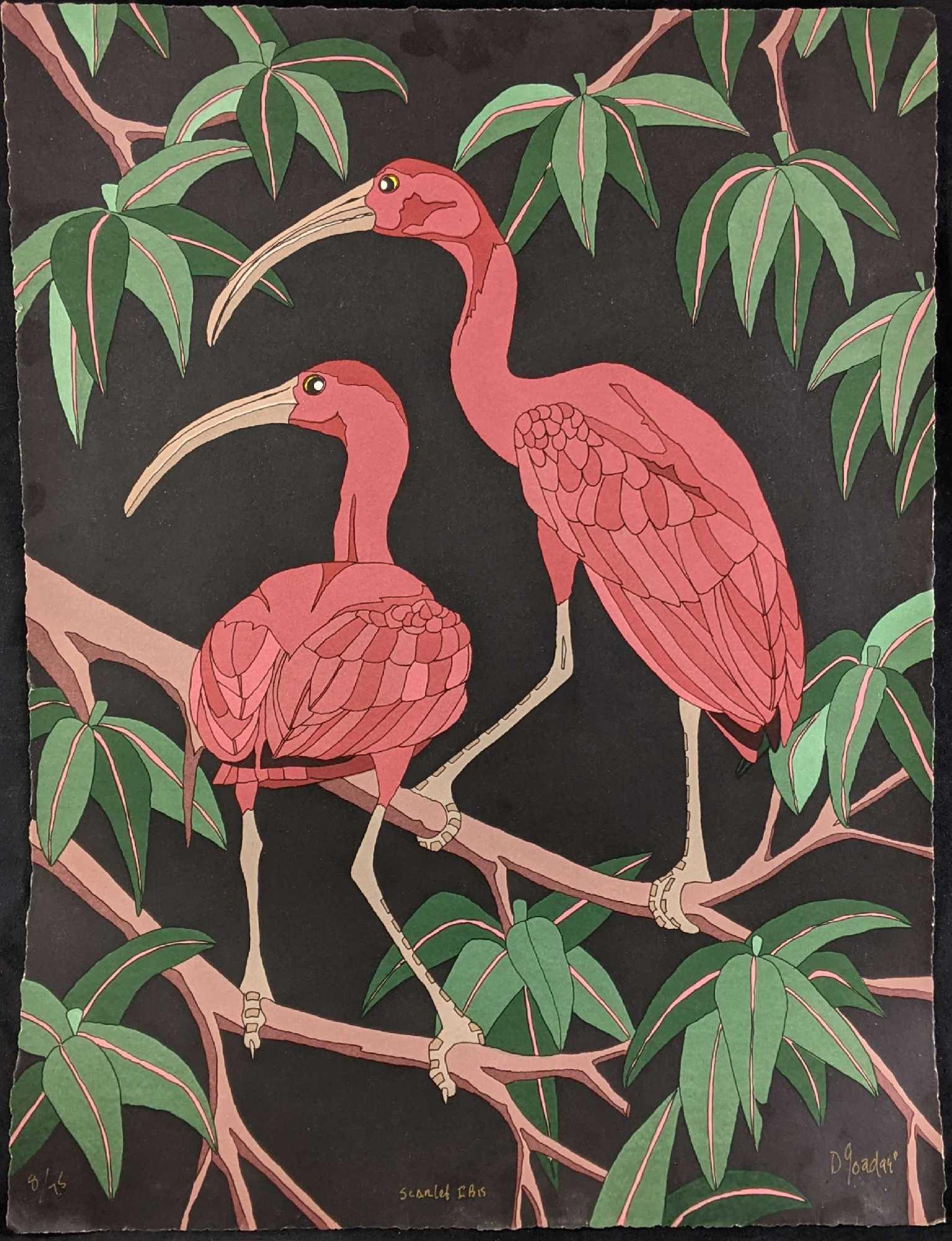 Limited Edition Scarlet Ibis Serigraph Dan Goad (1 of 10)