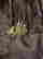 item-112668305=7