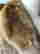 item-112668412=2