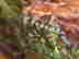 item-112879180=4