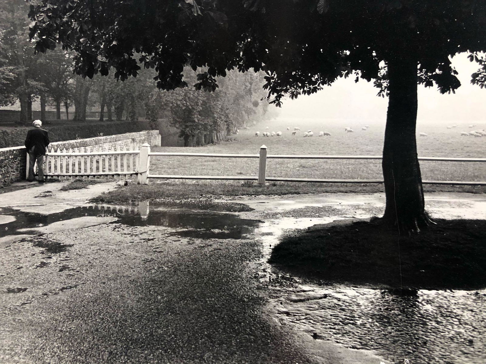 Vintage Signed Jon farmer 1977 Nature scene 8x12 Black (1 of 4)