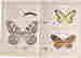 item-114271550=2