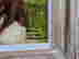 item-114279197=3