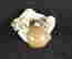 item-114279453=5