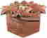 item-115111945=4