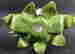 item-115339073=3