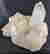 item-115626429=3