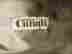 item-118104176=4