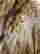 item-118104179=3