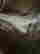 item-118104180=4