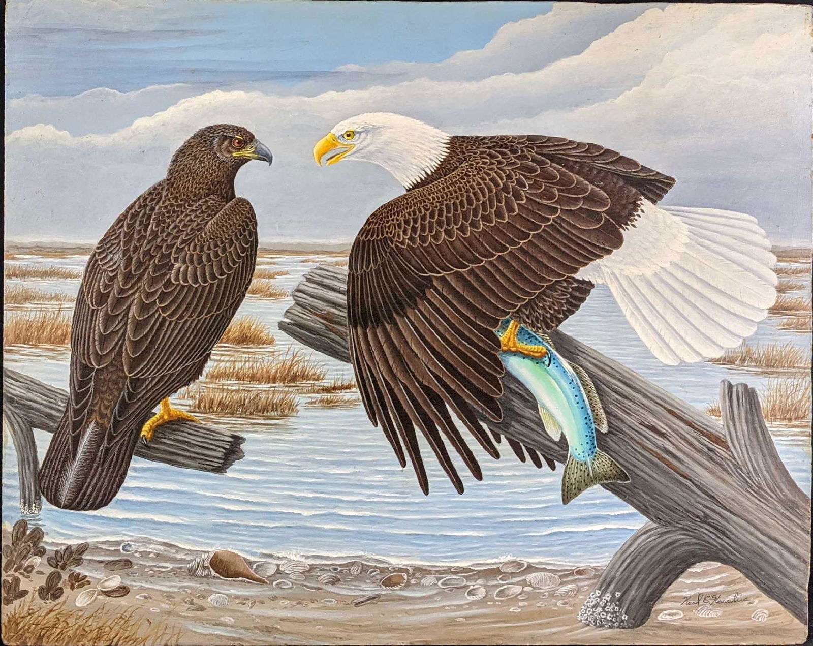 Original Acrylic On Panel Bald Eagle And Hawk (1 of 7)
