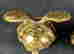 item-119707564=4
