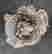 item-119707566=3