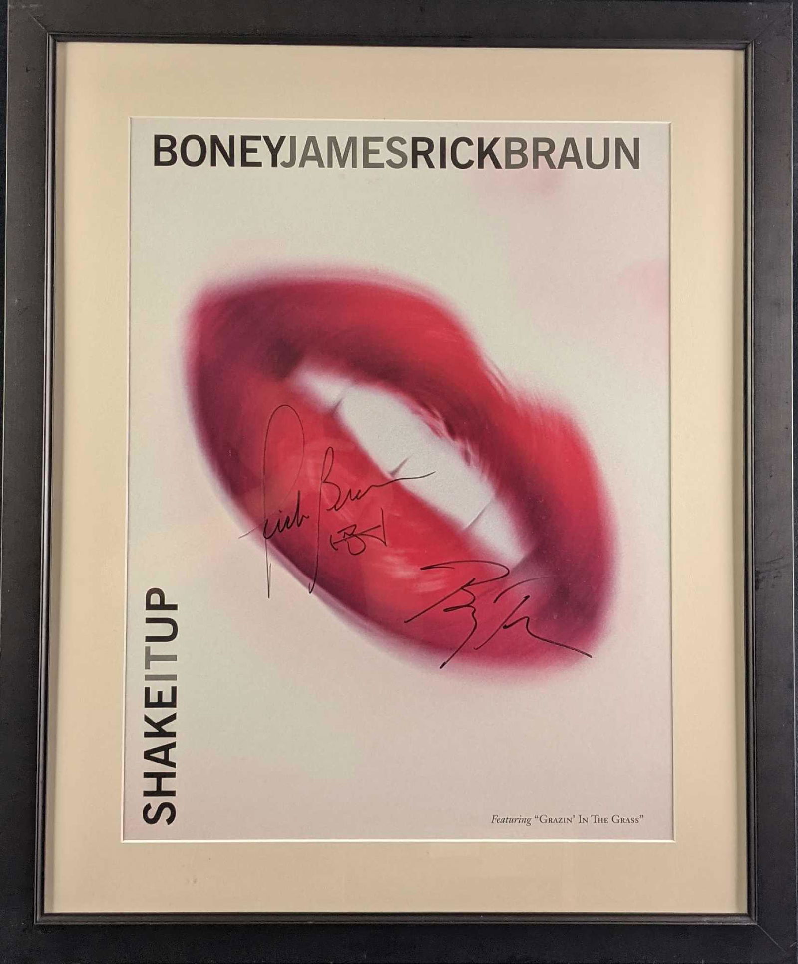 Boney James & Rick Braun "Shake It Up" Autographed (1 of 7)