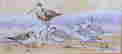 item-120320021=2