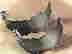 item-120320234=3