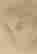 item-120467932=10