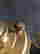 item-120467932=12