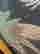 item-120643140=4