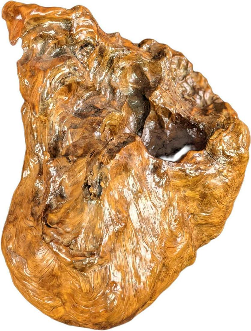 Polished Petrified Wood Root Ball (1 of 6)