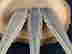 item-121010529=2