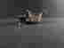 item-121011360=3